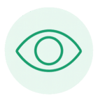 VISION Icon