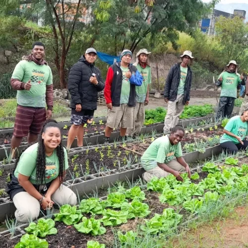 Urban Community Garden